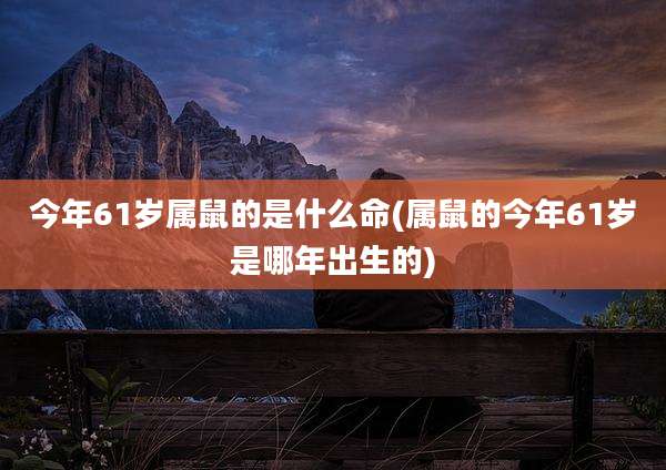 今年61岁属鼠的是什么命(属鼠的今年61岁是哪年出生的)