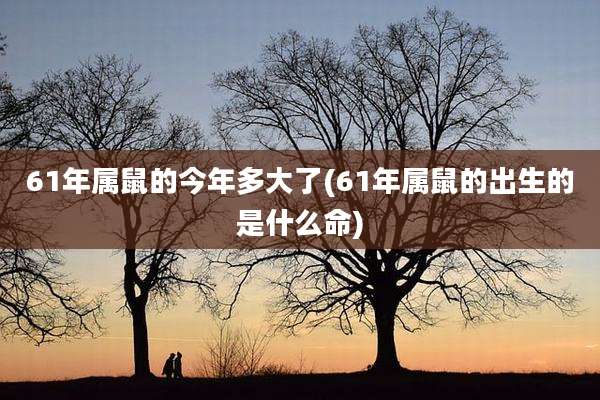 61年属鼠的今年多大了(61年属鼠的出生的是什么命)