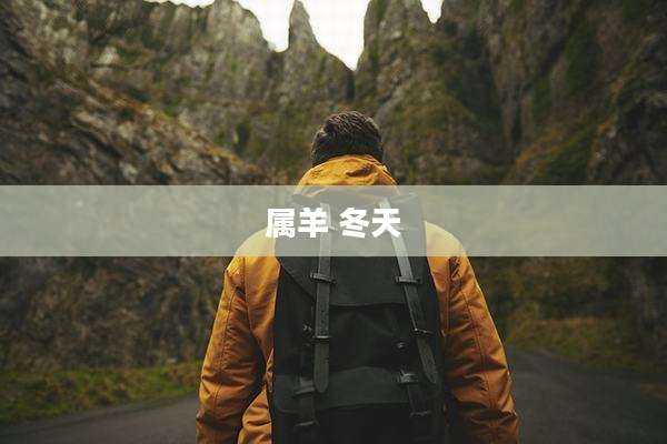 属羊 冬天