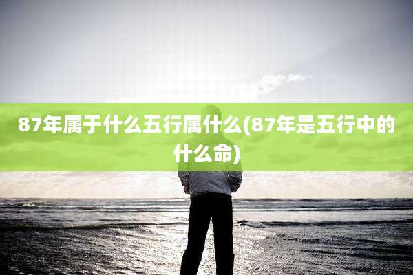 87年属于什么五行属什么(87年是五行中的什么命)