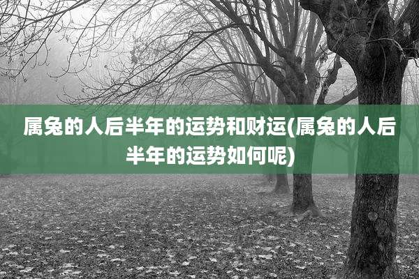 属兔的人后半年的运势和财运(属兔的人后半年的运势如何呢)