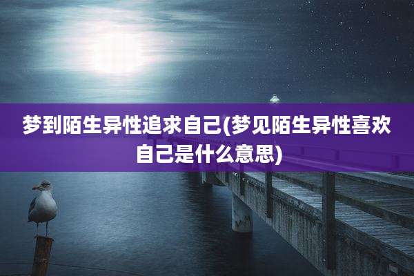 梦到陌生异性追求自己(梦见陌生异性喜欢自己是什么意思)