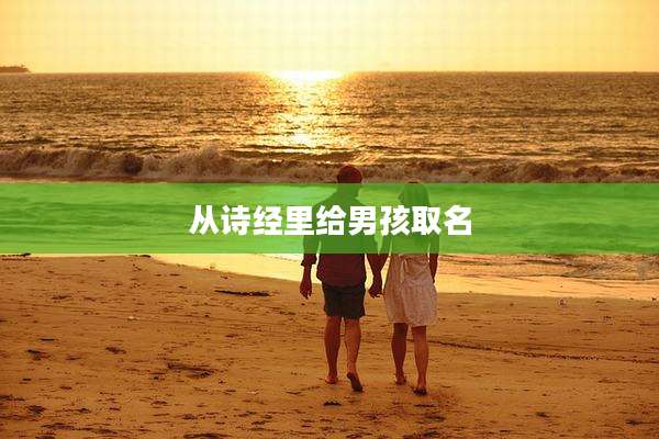从诗经里给男孩取名