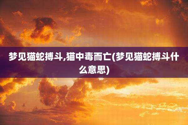 梦见猫蛇搏斗,猫中毒而亡(梦见猫蛇搏斗什么意思)