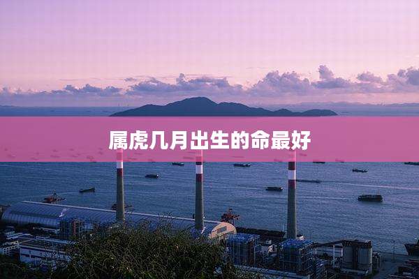 属虎几月出生的命最好