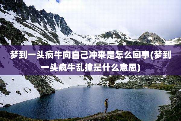 梦到一头疯牛向自己冲来是怎么回事(梦到一头疯牛乱撞是什么意思)