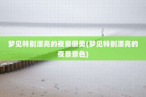 梦见特别漂亮的夜景很美(梦见特别漂亮的夜景景色)