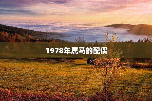 1978年属马的配偶