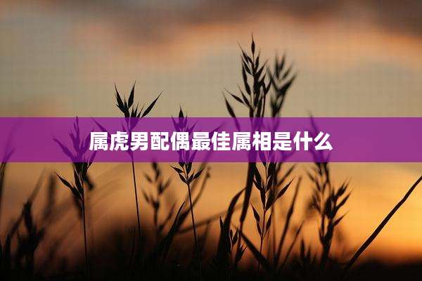 属虎男配偶最佳属相是什么