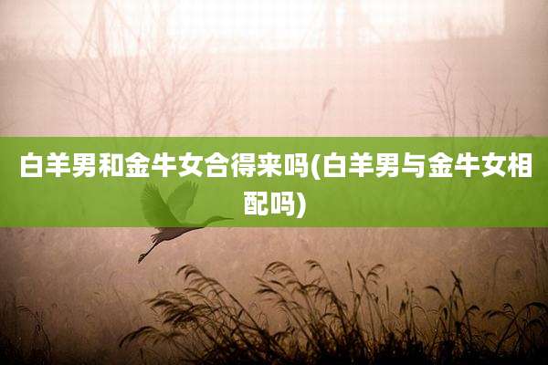 白羊男和金牛女合得来吗(白羊男与金牛女相配吗)