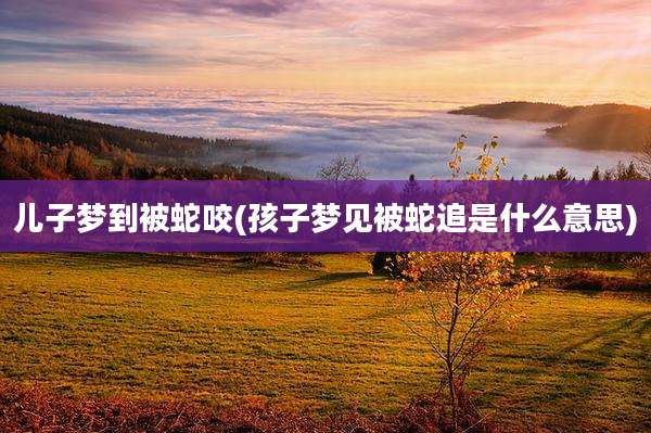 儿子梦到被蛇咬(孩子梦见被蛇追是什么意思)
