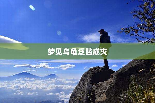 梦见乌龟泛滥成灾