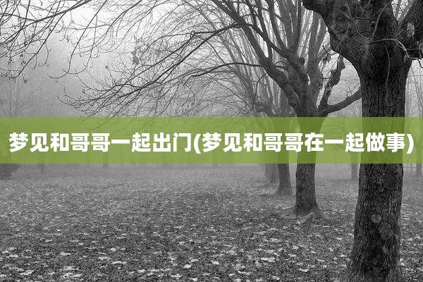 梦见和哥哥一起出门(梦见和哥哥在一起做事)
