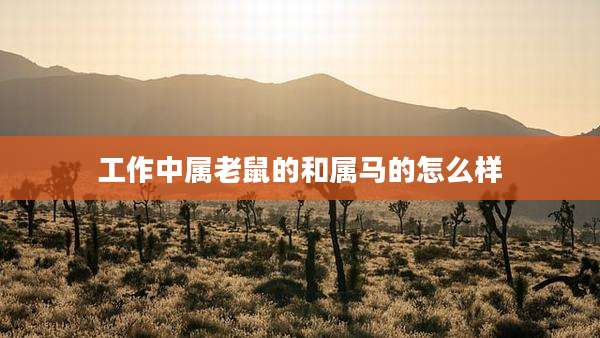 工作中属老鼠的和属马的怎么样