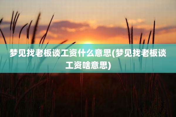 梦见找老板谈工资什么意思(梦见找老板谈工资啥意思)