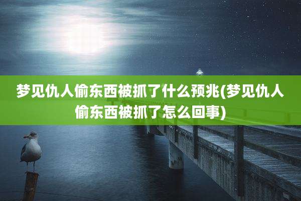 梦见仇人偷东西被抓了什么预兆(梦见仇人偷东西被抓了怎么回事)