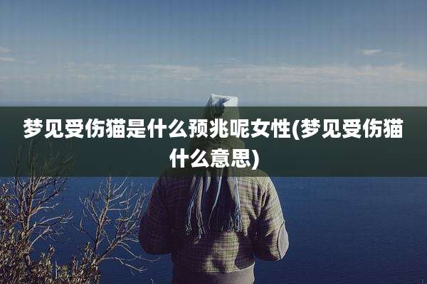 梦见受伤猫是什么预兆呢女性(梦见受伤猫什么意思)