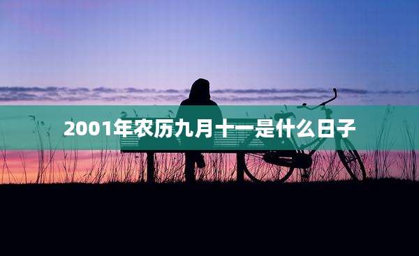 2001年农历九月十一是什么日子