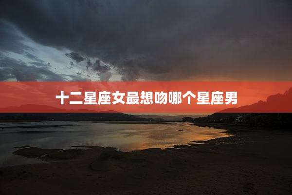 十二星座女最想吻哪个星座男