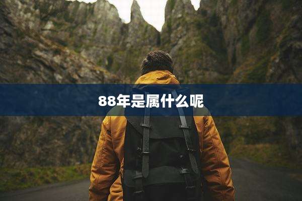 88年是属什么呢