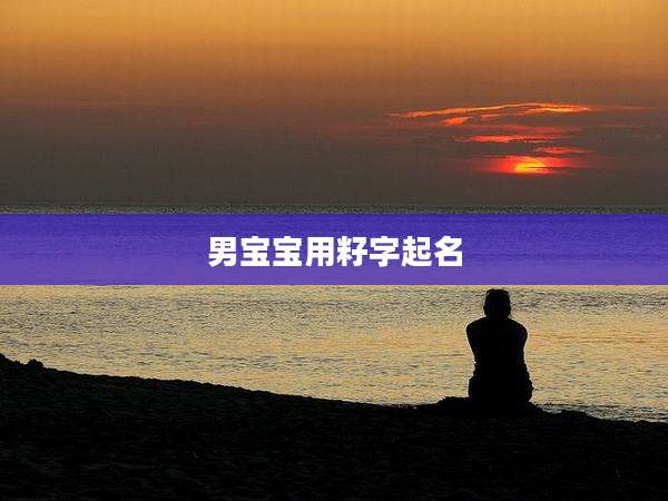 男宝宝用籽字起名