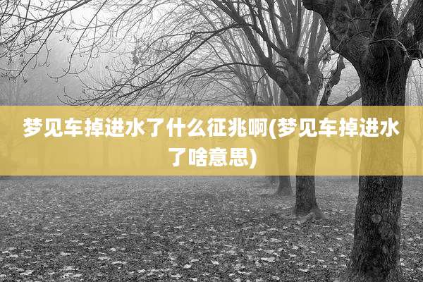 梦见车掉进水了什么征兆啊(梦见车掉进水了啥意思)