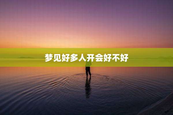 梦见好多人开会好不好