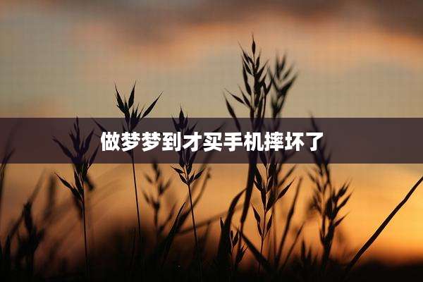 做梦梦到才买手机摔坏了