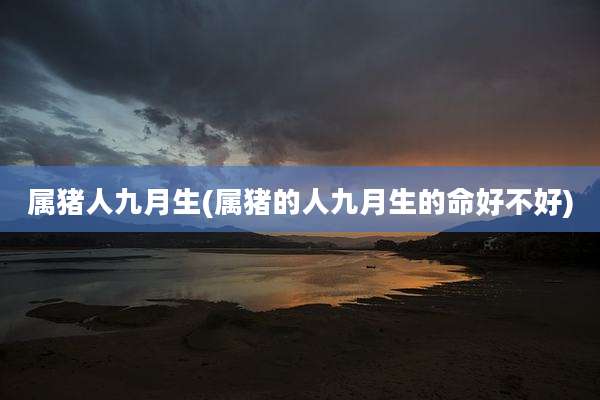 属猪人九月生(属猪的人九月生的命好不好)