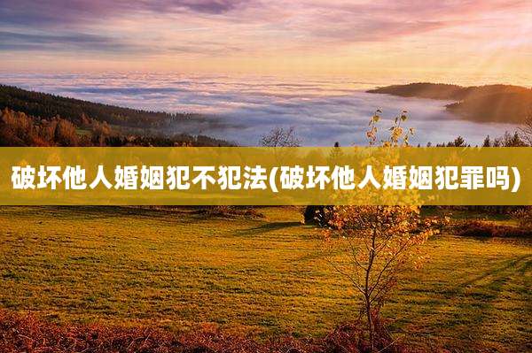 破坏他人婚姻犯不犯法(破坏他人婚姻犯罪吗)