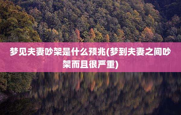 梦见夫妻吵架是什么预兆(梦到夫妻之间吵架而且很严重)