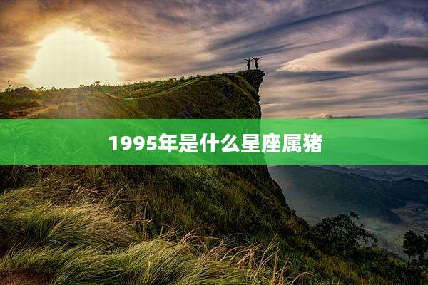 1995年是什么星座属猪