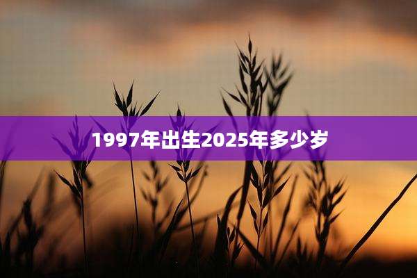 1997年出生2025年多少岁