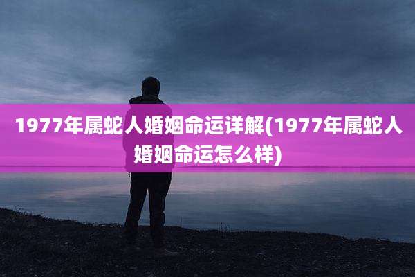 1977年属蛇人婚姻命运详解(1977年属蛇人婚姻命运怎么样)