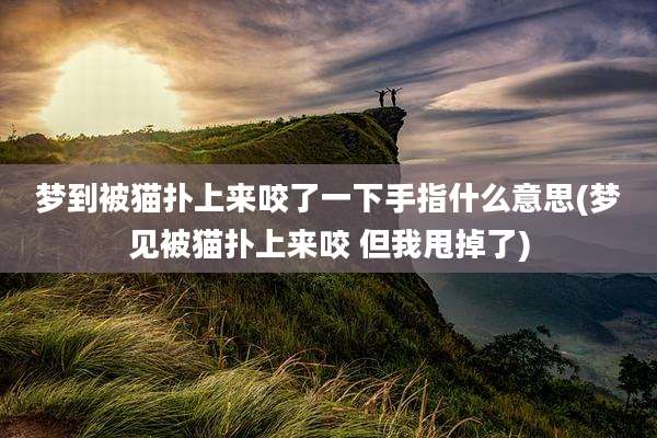 梦到被猫扑上来咬了一下手指什么意思(梦见被猫扑上来咬 但我甩掉了)