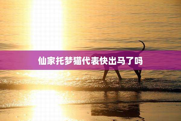 仙家托梦猫代表快出马了吗