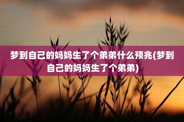 梦到自己的妈妈生了个弟弟什么预兆(梦到自己的妈妈生了个弟弟)