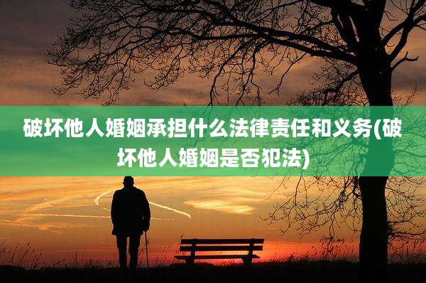 破坏他人婚姻承担什么法律责任和义务(破坏他人婚姻是否犯法)