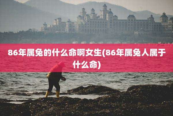 86年属兔的什么命啊女生(86年属兔人属于什么命)