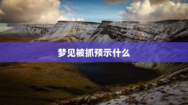 梦见被抓预示什么