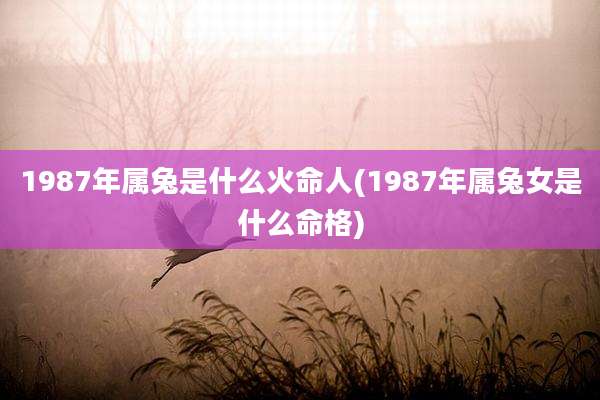 1987年属兔是什么火命人(1987年属兔女是什么命格)