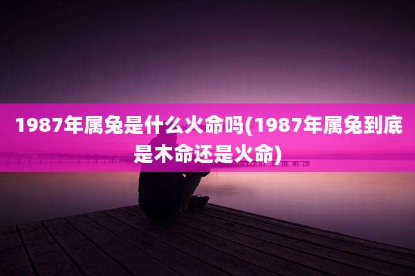 1987年属兔是什么火命吗(1987年属兔到底是木命还是火命)