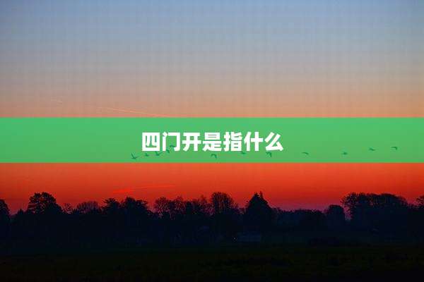 四门开是指什么