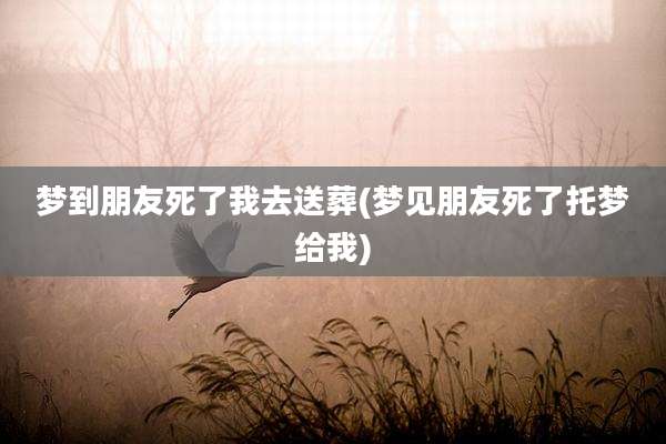 梦到朋友死了我去送葬(梦见朋友死了托梦给我)