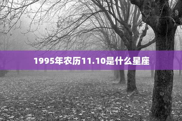 1995年农历11.10是什么星座