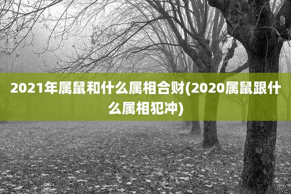 2021年属鼠和什么属相合财(2020属鼠跟什么属相犯冲)