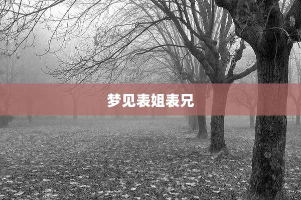 梦见表姐表兄