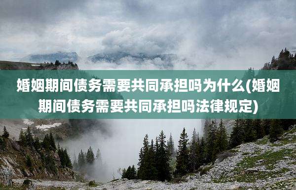 婚姻期间债务需要共同承担吗为什么(婚姻期间债务需要共同承担吗法律规定)
