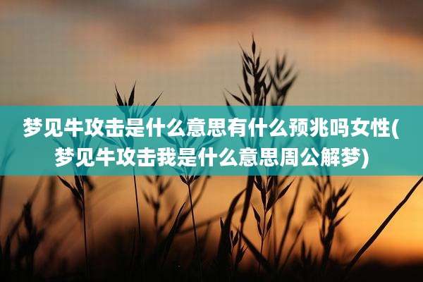 梦见牛攻击是什么意思有什么预兆吗女性(梦见牛攻击我是什么意思周公解梦)