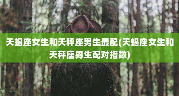 天蝎座女生和天秤座男生最配(天蝎座女生和天秤座男生配对指数)